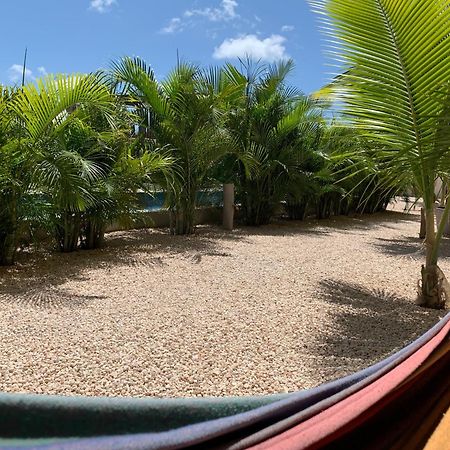 Isla Penthouse & Garden Apartments Bonaire Playa Exteriör bild
