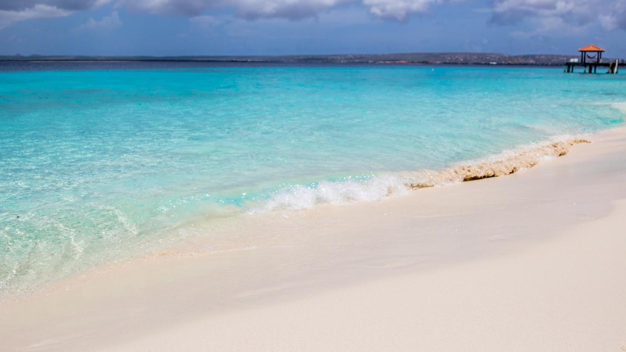 Isla Penthouse & Garden Apartments Bonaire Playa Exteriör bild