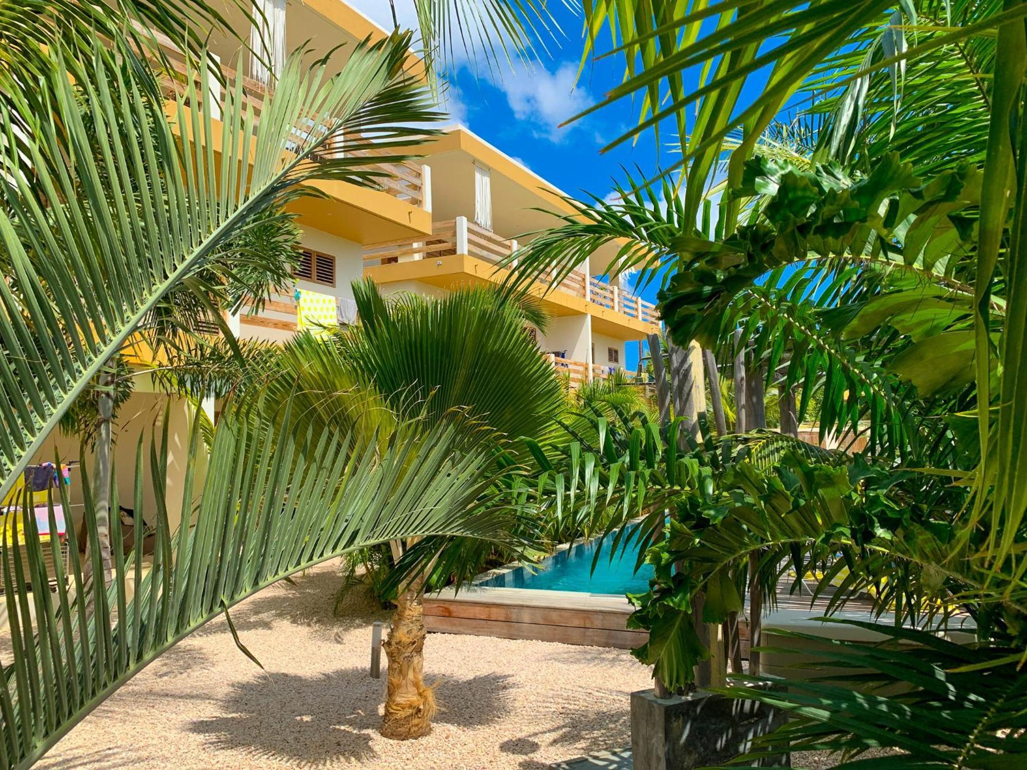 Isla Penthouse & Garden Apartments Bonaire Playa Exteriör bild