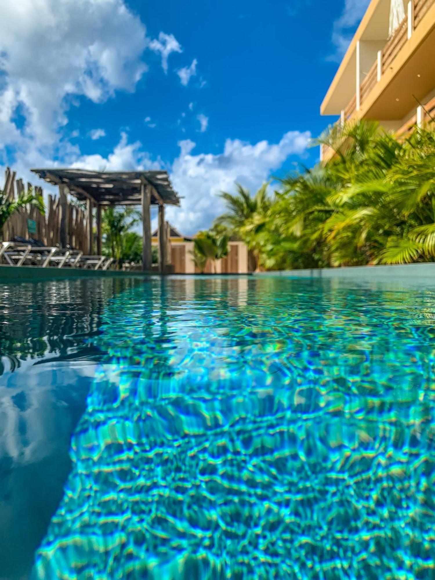Isla Penthouse & Garden Apartments Bonaire Playa Exteriör bild