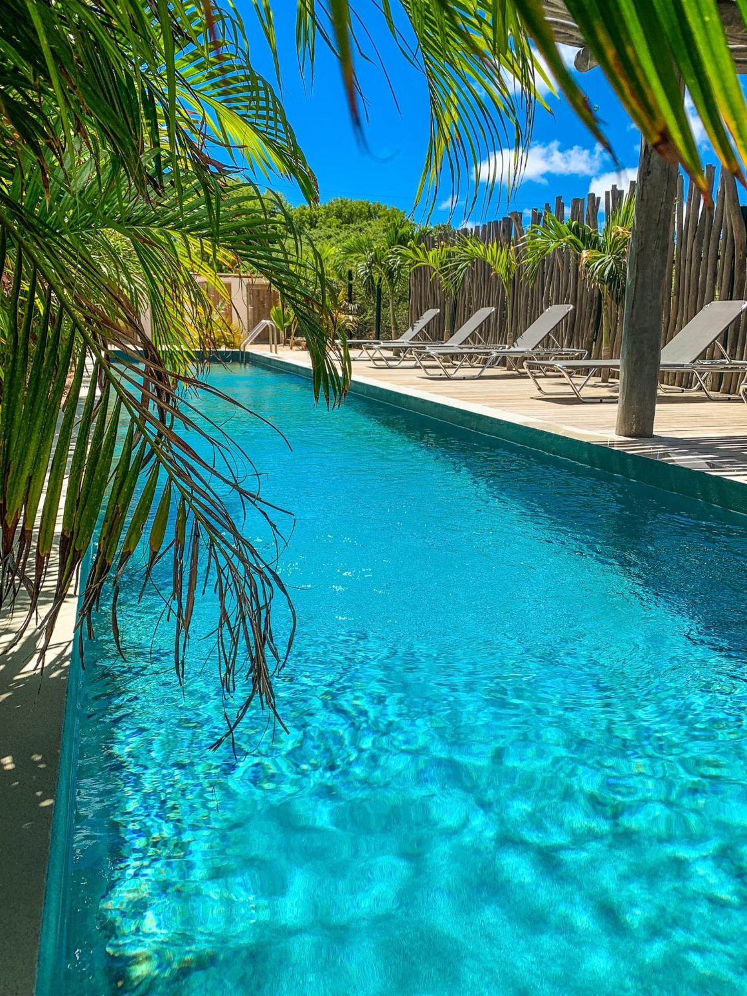 Isla Penthouse & Garden Apartments Bonaire Playa Exteriör bild