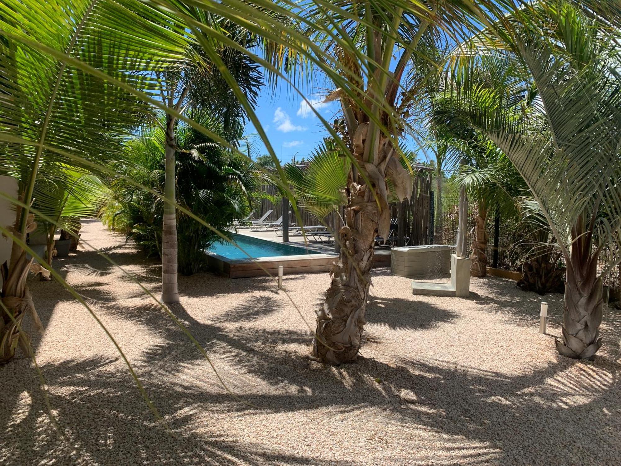 Isla Penthouse & Garden Apartments Bonaire Playa Exteriör bild